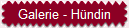 Galerie - H�ndin